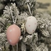 Kit Ovo Decorativo Páscoa Plástico Rosa Bolinha C/6 Un.